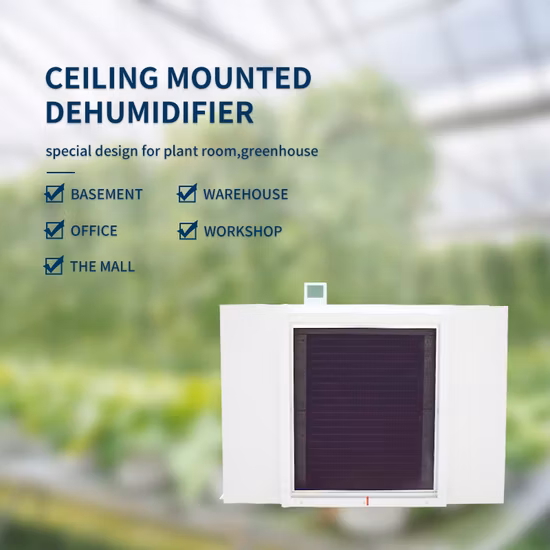 Deumidificatore commerciale montato a soffitto commerciale dell'essiccatore dell'aria industriale per la serra